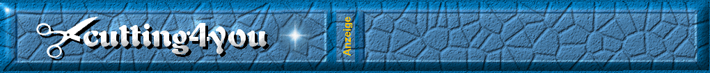 Cutting4you, Grafik und Webseitenzubehr